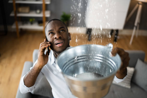 Best 24-hour water damage restoration  in Florence, SC