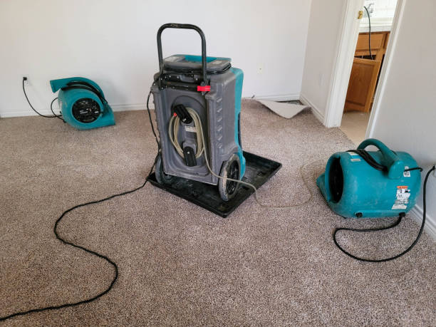 Water damage restoration experts in Florence, SC