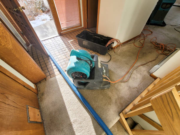 Local water damage restoration in Florence, SC