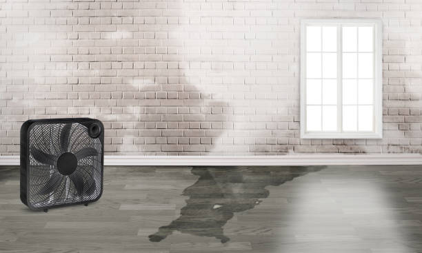 Best Commercial water damage restoration  in Florence, SC