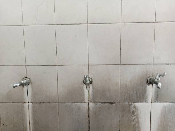 Best Local water damage restoration  in Florence, SC